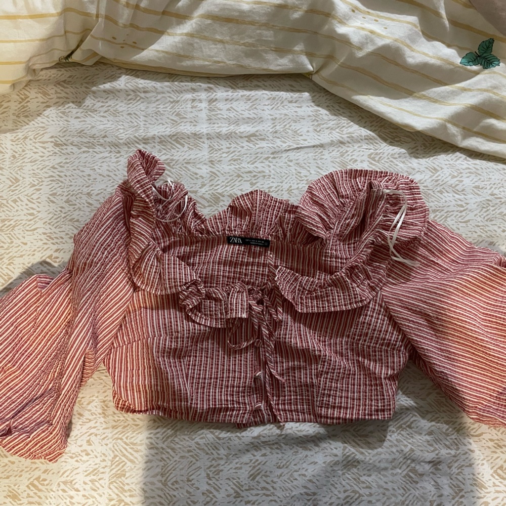 Zara crop top